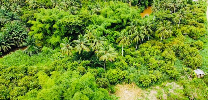 Over 100k acres farmland located at ABESA- CHEREMBO LOCALITY, KITAMPO DISTRICT IN THE BONO EAST REGION.