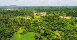 Over 100k acres farmland located at ABESA- CHEREMBO LOCALITY, KITAMPO DISTRICT IN THE BONO EAST REGION.