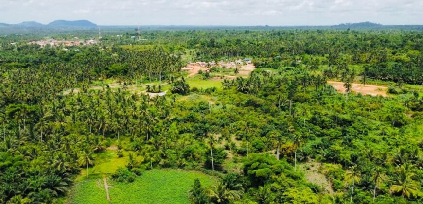 Over 100k acres farmland located at ABESA- CHEREMBO LOCALITY, KITAMPO DISTRICT IN THE BONO EAST REGION.