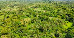 Over 100k acres farmland located at ABESA- CHEREMBO LOCALITY, KITAMPO DISTRICT IN THE BONO EAST REGION.