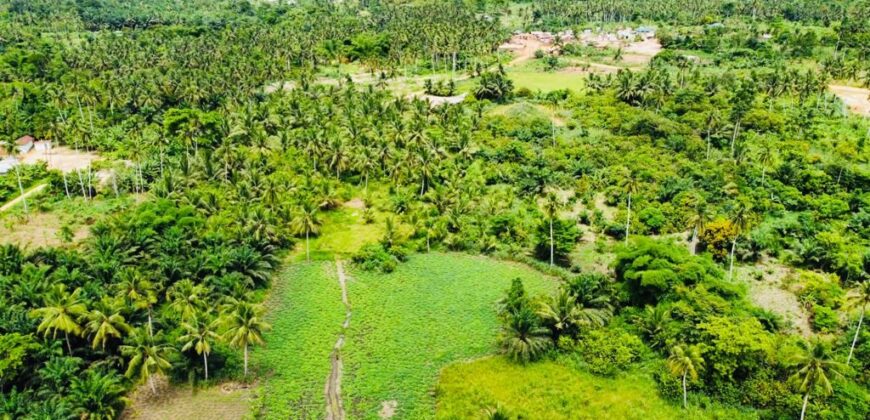 Over 100k acres farmland located at ABESA- CHEREMBO LOCALITY, KITAMPO DISTRICT IN THE BONO EAST REGION.