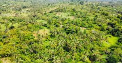 Over 100k acres farmland located at ABESA- CHEREMBO LOCALITY, KITAMPO DISTRICT IN THE BONO EAST REGION.