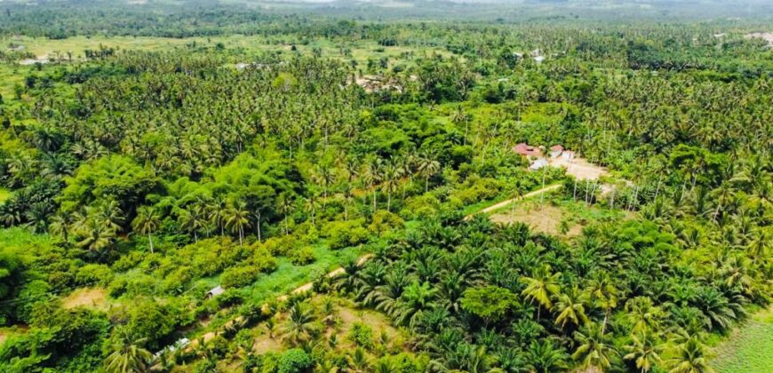 Over 100k acres farmland located at ABESA- CHEREMBO LOCALITY, KITAMPO DISTRICT IN THE BONO EAST REGION.