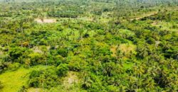 Over 100k acres farmland located at ABESA- CHEREMBO LOCALITY, KITAMPO DISTRICT IN THE BONO EAST REGION.