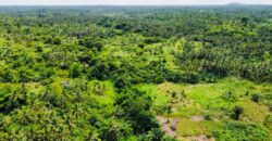 Over 100k acres farmland located at ABESA- CHEREMBO LOCALITY, KITAMPO DISTRICT IN THE BONO EAST REGION.