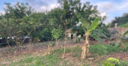  Walled and gated 3 plot of land inside Springfield peduase for sale