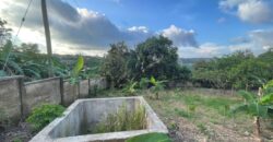  Walled and gated 3 plot of land inside Springfield peduase for sale