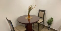 Furnished 1(one) bedroom apartment for Rent at OSU