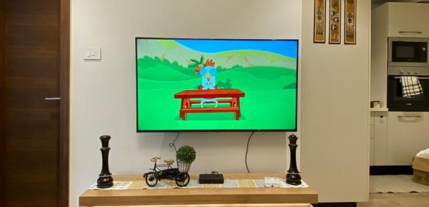 Furnished 1(one) bedroom apartment for Rent at OSU