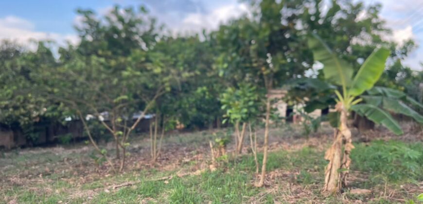  Walled and gated 3 plot of land inside Springfield peduase for sale