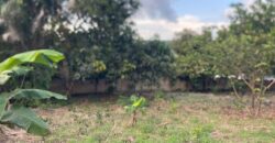  Walled and gated 3 plot of land inside Springfield peduase for sale