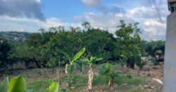  Walled and gated 3 plot of land inside Springfield peduase for sale