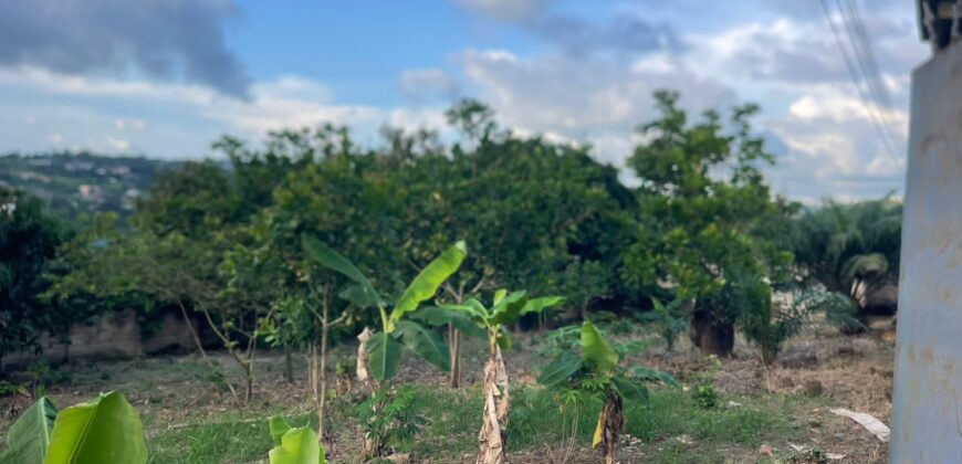  Walled and gated 3 plot of land inside Springfield peduase for sale