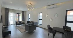Fully Furnished ultra modern 3 bedroom house with BQ and swimming pool at East legon adjiriganor