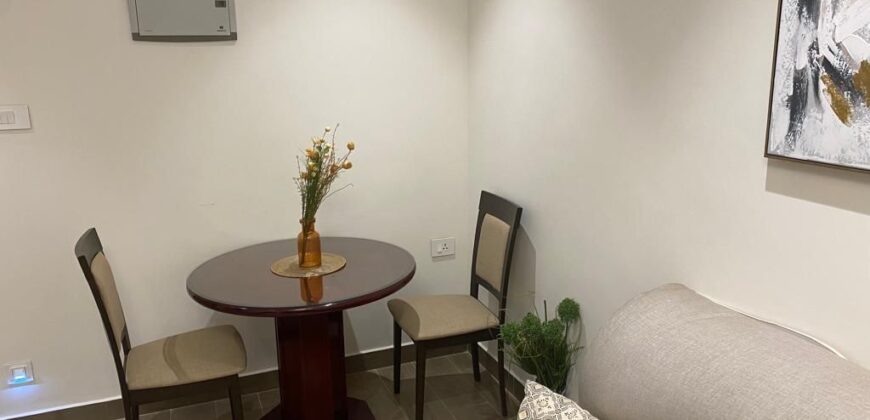 Furnished 1(one) bedroom apartment for Rent at OSU