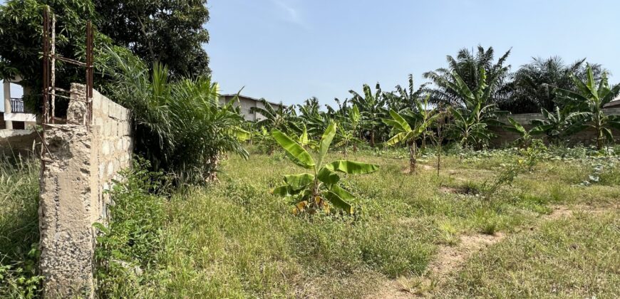 LANDED PROPERTY FOR SALE SPINTEX