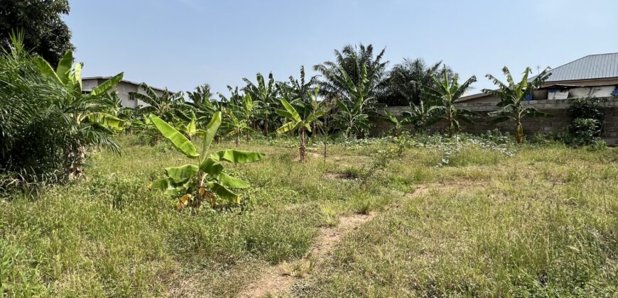 LANDED PROPERTY FOR SALE SPINTEX