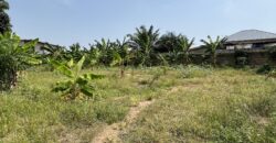 LANDED PROPERTY FOR SALE SPINTEX