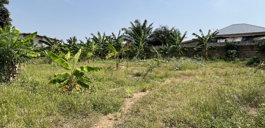 LANDED PROPERTY FOR SALE SPINTEX