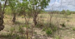PLOTS OF LAND FOR SALE AT DODOWA