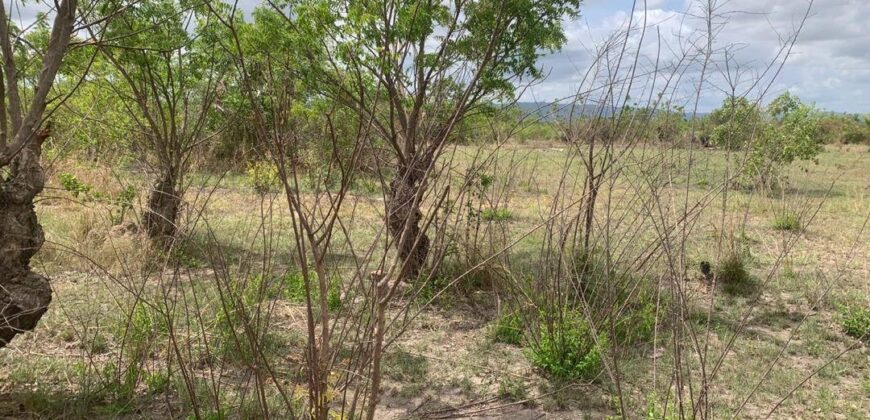 PLOTS OF LAND FOR SALE AT DODOWA
