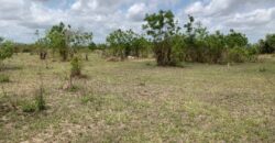 PLOTS OF LAND FOR SALE AT DODOWA