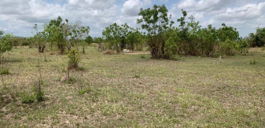 PLOTS OF LAND FOR SALE AT DODOWA