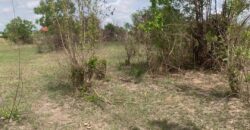 PLOTS OF LAND FOR SALE AT DODOWA