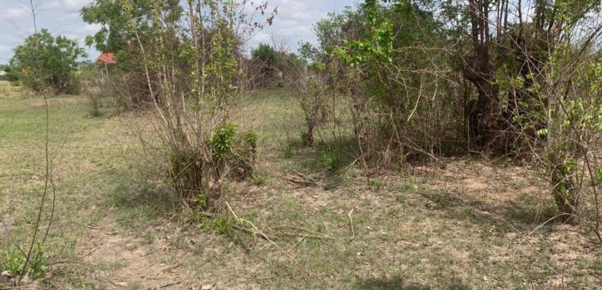 PLOTS OF LAND FOR SALE AT DODOWA