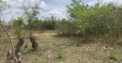 PLOTS OF LAND FOR SALE AT DODOWA
