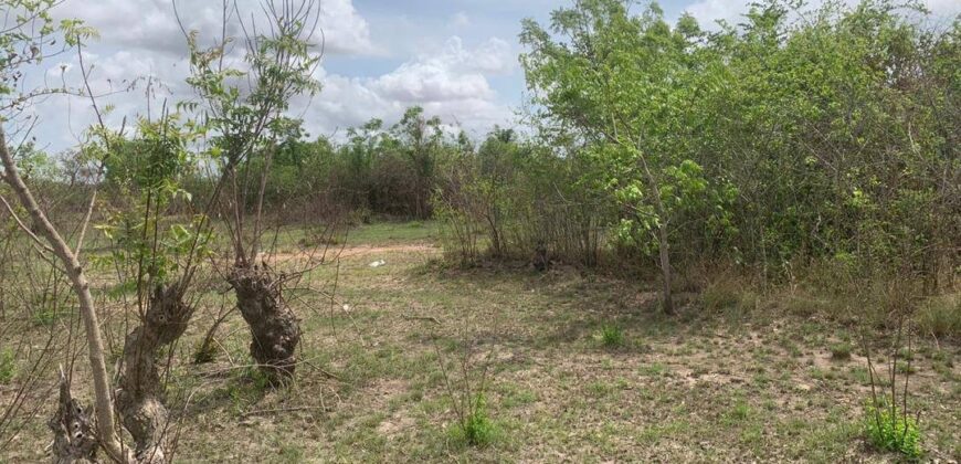 PLOTS OF LAND FOR SALE AT DODOWA