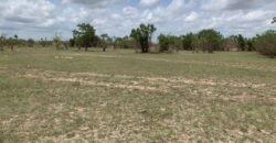 PLOTS OF LAND FOR SALE AT DODOWA