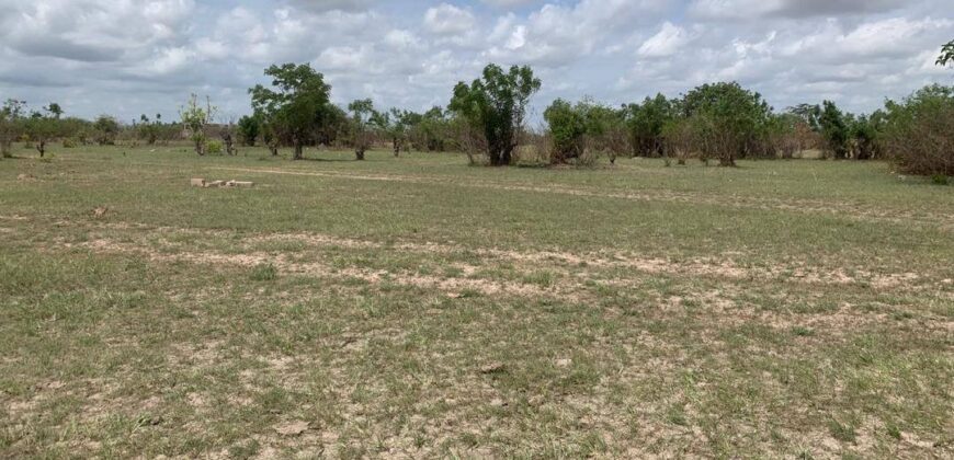 PLOTS OF LAND FOR SALE AT DODOWA
