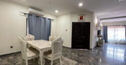 5 FULLY FURNISHED BEDROOM LUXURIOUS EXECUTIVE HOUSE FOR SALE