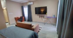 Fully Furnished 3-bedroom house for Rent at spintex 