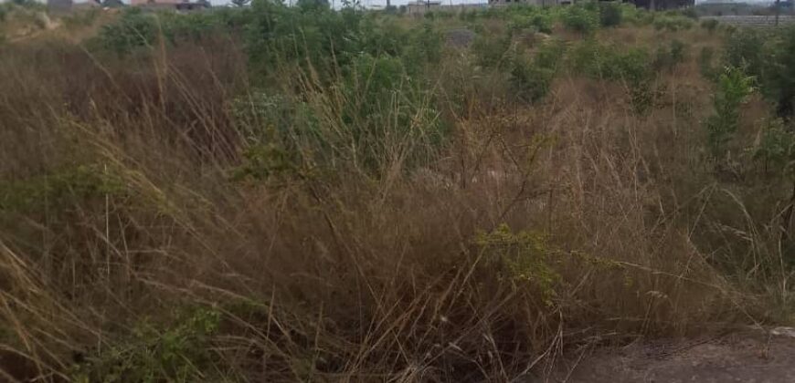 16 PLOTS FOR SALE AT SANTOE COMMUNITY 24