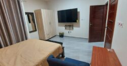 Fully Furnished 3-bedroom house for Rent at spintex 