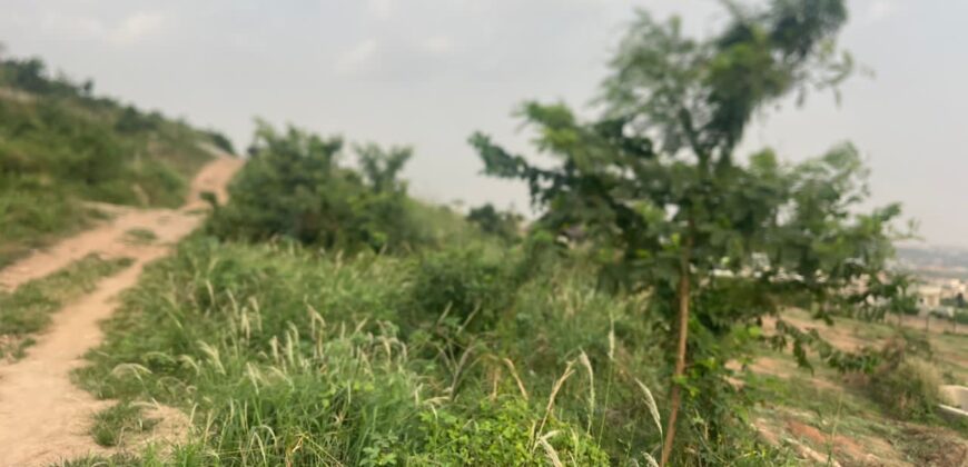 Landed Property alert 6 plots of land at Ayi mensah