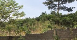 20 plots of land available for sale at oyarifa borga town.