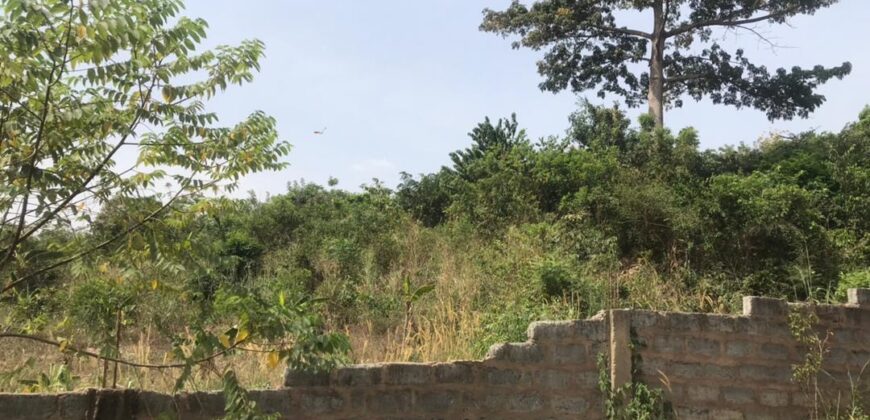 20 plots of land available for sale at oyarifa borga town.