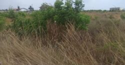 16 PLOTS FOR SALE AT SANTOE COMMUNITY 24