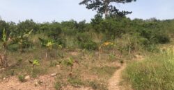 20 plots of land available for sale at oyarifa borga town.