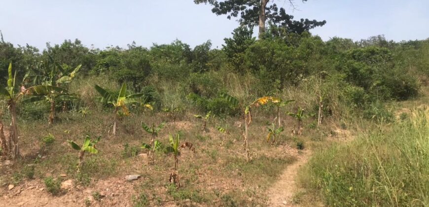 20 plots of land available for sale at oyarifa borga town.