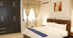 Alert ultra modern fully furnished 4 bedroom house with swimming pool now selling and renting Adjiringanor