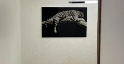 Alert ultra modern fully furnished 4 bedroom house with swimming pool now selling and renting Adjiringanor