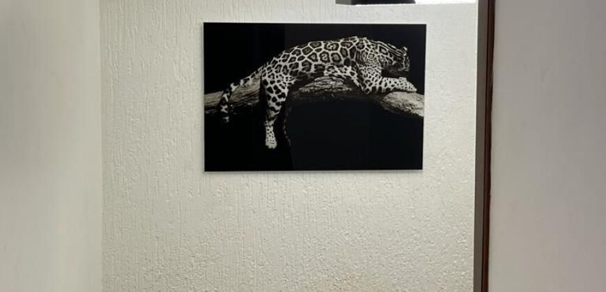 Alert ultra modern fully furnished 4 bedroom house with swimming pool now selling and renting Adjiringanor