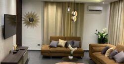 Alert ultra modern fully furnished 4 bedroom house with swimming pool now selling and renting Adjiringanor