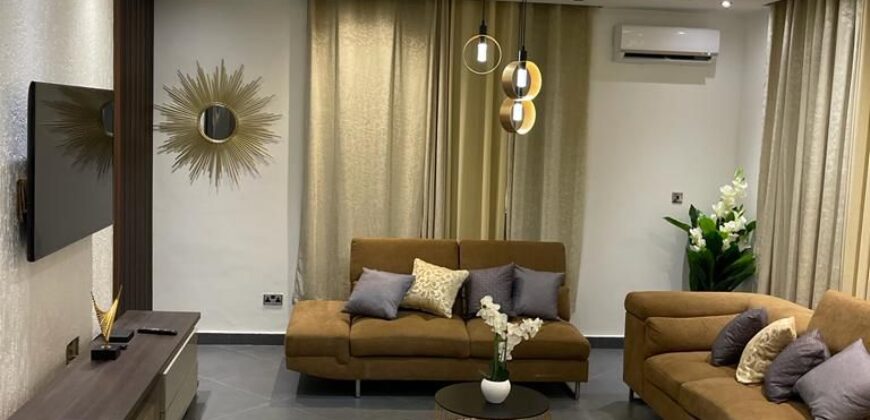 Alert ultra modern fully furnished 4 bedroom house with swimming pool now selling and renting Adjiringanor