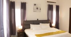 Alert ultra modern fully furnished 4 bedroom house with swimming pool now selling and renting Adjiringanor