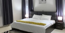 Alert ultra modern fully furnished 4 bedroom house with swimming pool now selling and renting Adjiringanor